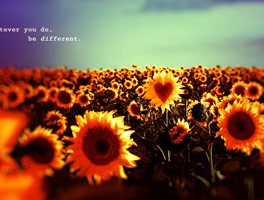 在线DDOS平台攻击